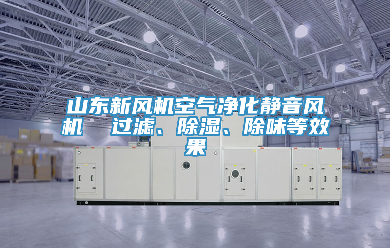山東新風(fēng)機空氣凈化靜音風(fēng)機  過濾、除濕、除味等效果