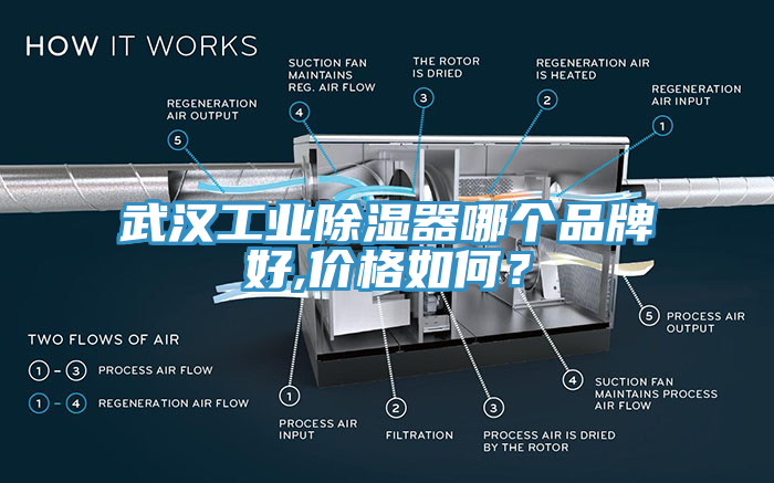 武漢工業(yè)除濕器哪個品牌好,價格如何？