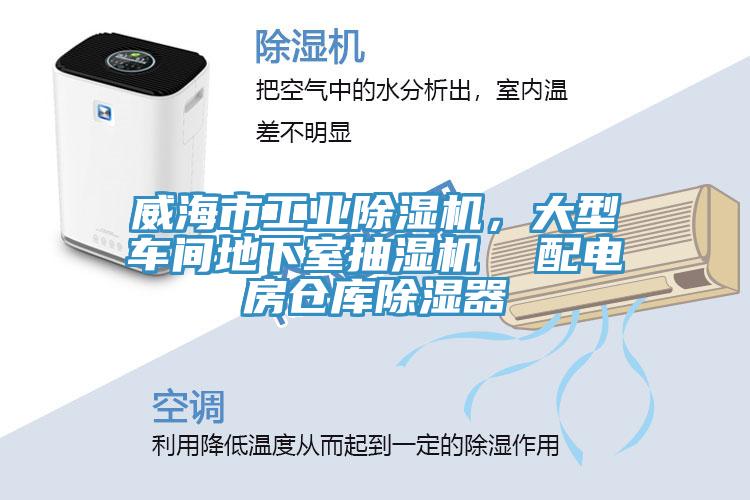 威海市工業(yè)除濕機(jī)，大型車間地下室抽濕機(jī)  配電房倉庫除濕器