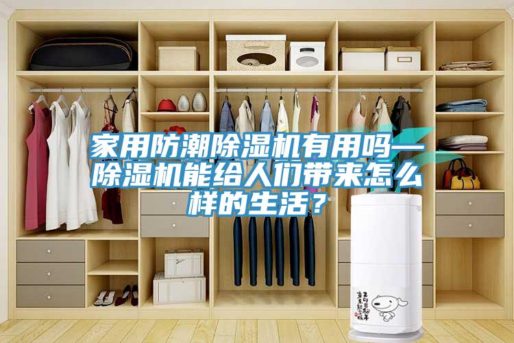 家用防潮除濕機有用嗎—除濕機能給人們帶來怎么樣的生活？
