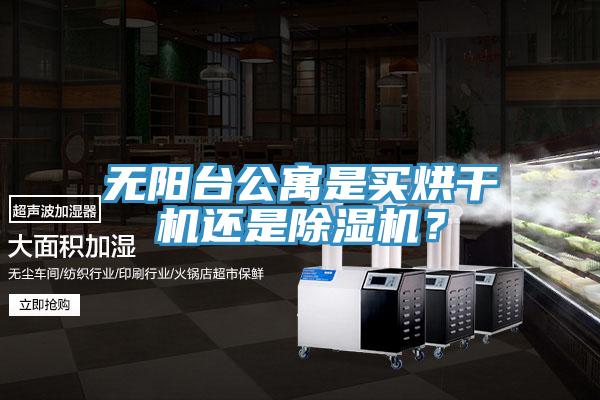 無陽臺(tái)公寓是買烘干機(jī)還是除濕機(jī)？