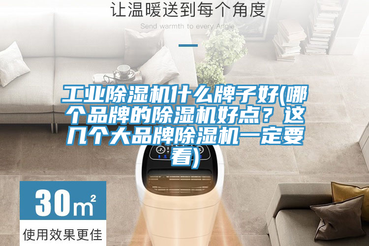 工業(yè)除濕機(jī)什么牌子好(哪個品牌的除濕機(jī)好點(diǎn)？這幾個大品牌除濕機(jī)一定要看)