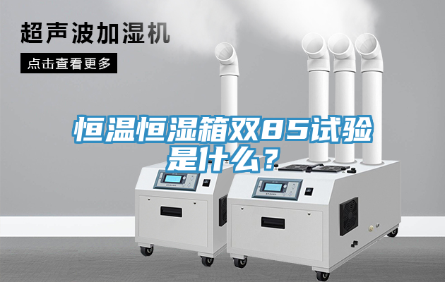 恒溫恒濕箱雙85試驗是什么？