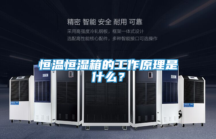 恒溫恒濕箱的工作原理是什么？
