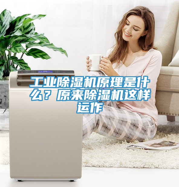 工業(yè)除濕機(jī)原理是什么？原來除濕機(jī)這樣運(yùn)作