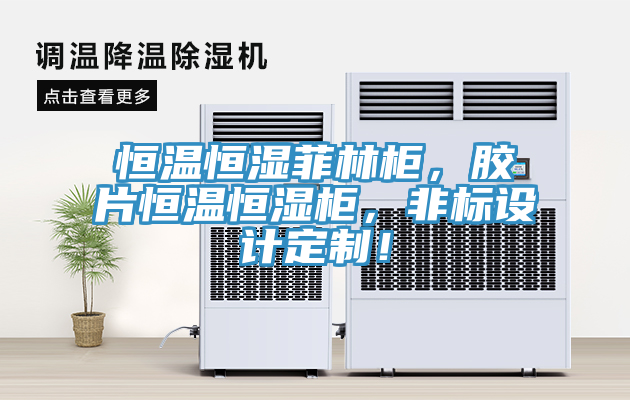 恒溫恒濕菲林柜，膠片恒溫恒濕柜，非標(biāo)設(shè)計定制！