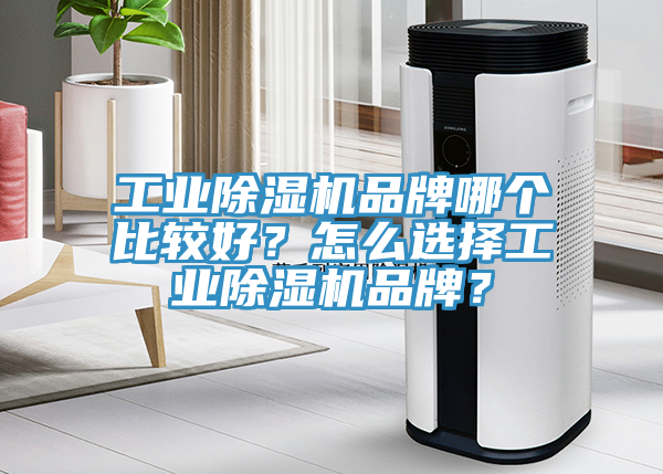 工業(yè)除濕機(jī)品牌哪個(gè)比較好？怎么選擇工業(yè)除濕機(jī)品牌？