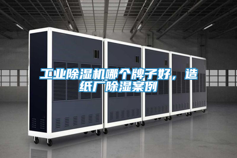 工業(yè)除濕機哪個牌子好，造紙廠除濕案例