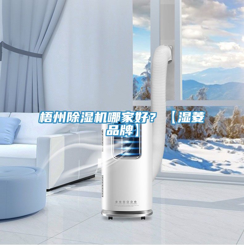 梧州除濕機(jī)哪家好？【濕菱品牌】