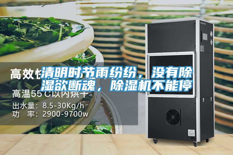 清明時(shí)節(jié)雨紛紛，沒有除濕欲斷魂，除濕機(jī)不能停