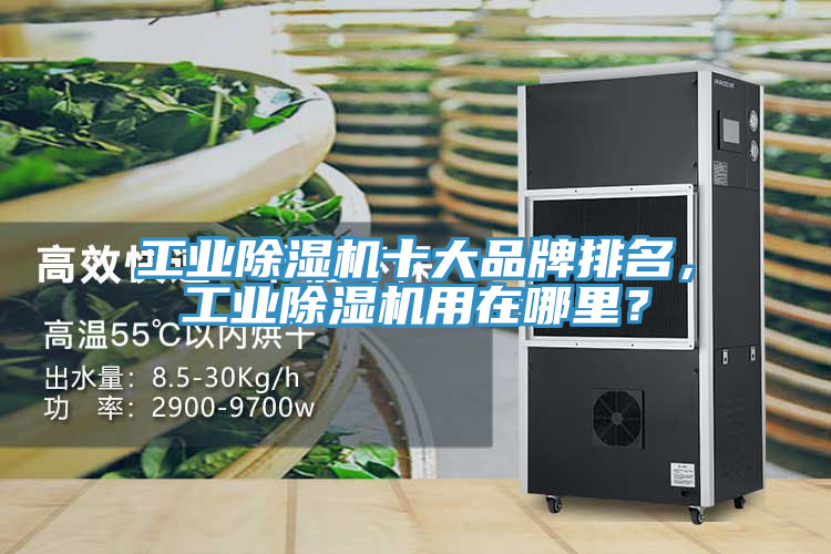 工業(yè)除濕機(jī)十大品牌排名，工業(yè)除濕機(jī)用在哪里？
