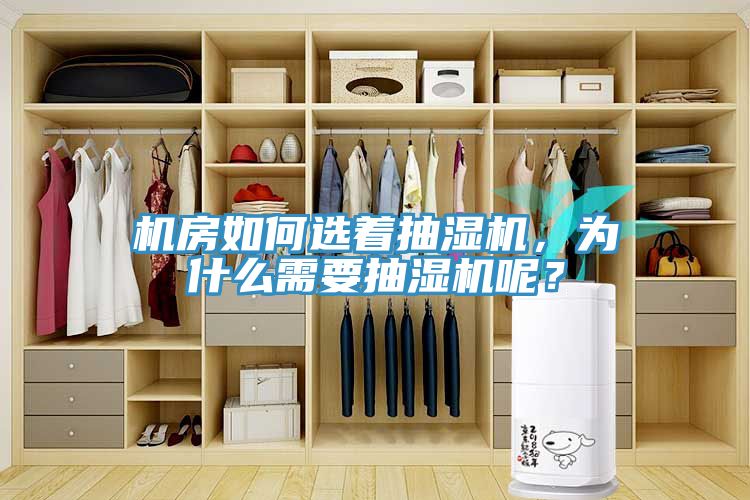 機房如何選著抽濕機，為什么需要抽濕機呢？