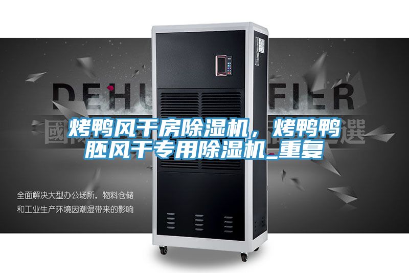烤鴨風(fēng)干房除濕機，烤鴨鴨胚風(fēng)干專用除濕機_重復(fù)