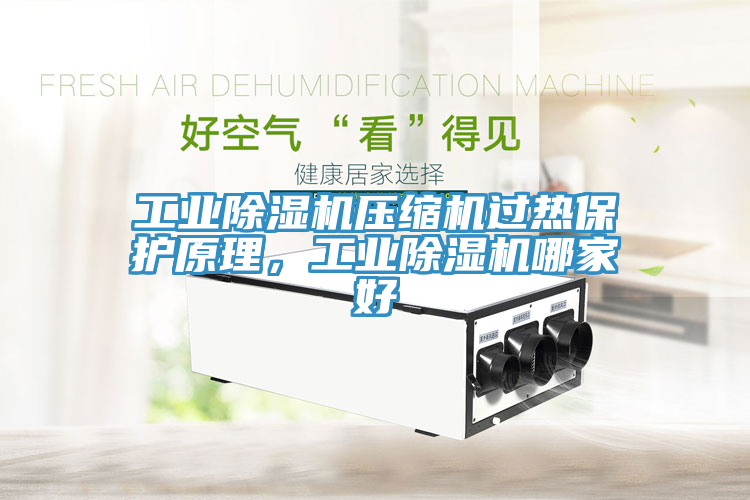 工業(yè)除濕機(jī)壓縮機(jī)過熱保護(hù)原理，工業(yè)除濕機(jī)哪家好