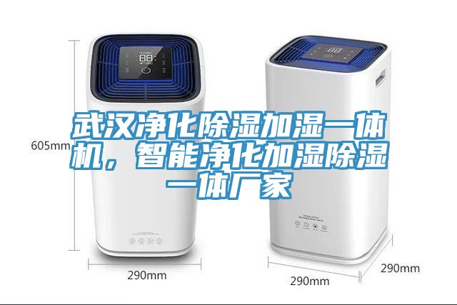 武漢凈化除濕加濕一體機，智能凈化加濕除濕一體廠家