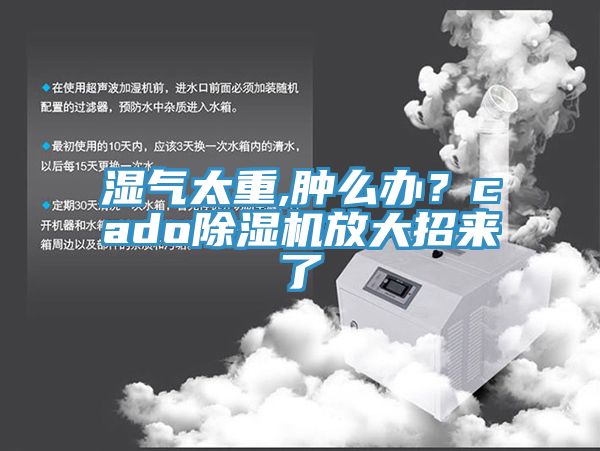 濕氣太重,腫么辦？cado除濕機(jī)放大招來(lái)了
