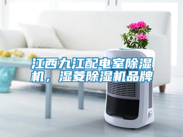 江西九江配電室除濕機，濕菱除濕機品牌