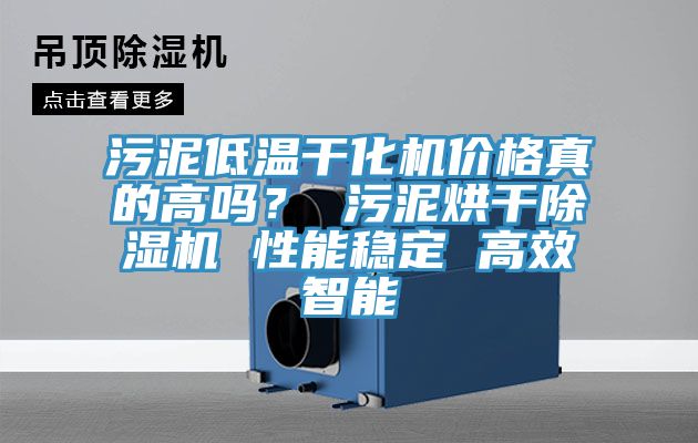 污泥低溫干化機(jī)價(jià)格真的高嗎？ 污泥烘干除濕機(jī) 性能穩(wěn)定 高效智能