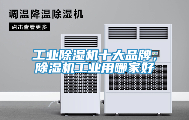 工業(yè)除濕機(jī)十大品牌，除濕機(jī)工業(yè)用哪家好