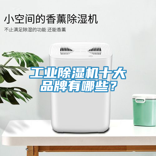 工業(yè)除濕機(jī)十大品牌有哪些？