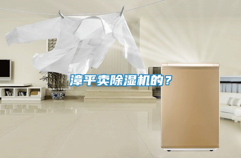 漳平賣除濕機(jī)的？