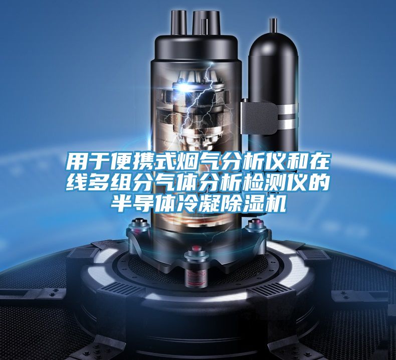用于便攜式煙氣分析儀和在線(xiàn)多組分氣體分析檢測(cè)儀的半導(dǎo)體冷凝除濕機(jī)