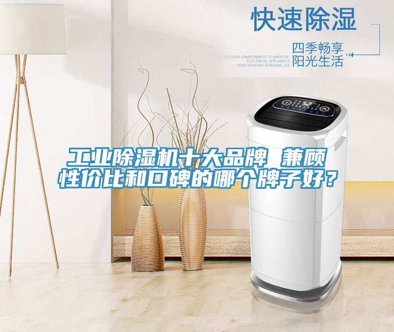 工業(yè)除濕機(jī)十大品牌 兼顧性?xún)r(jià)比和口碑的哪個(gè)牌子好？