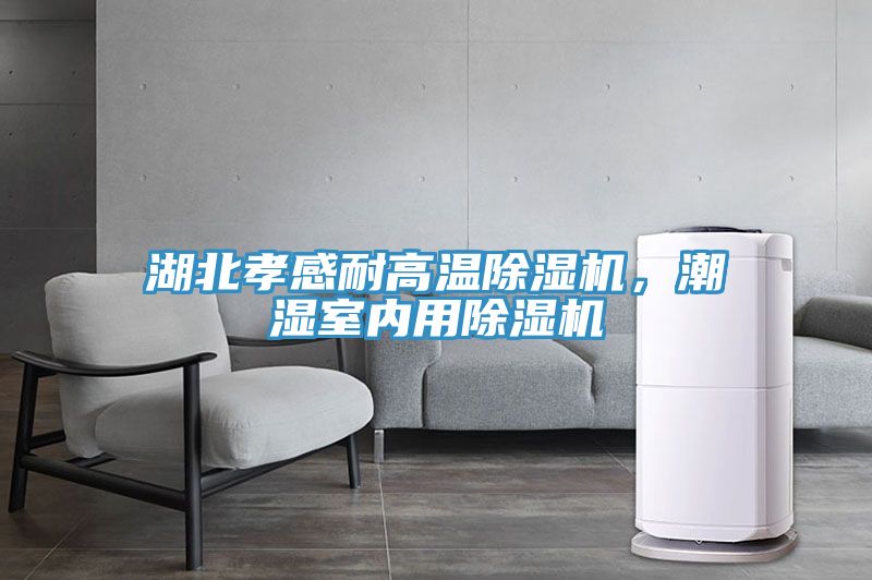 湖北孝感耐高溫除濕機(jī)，潮濕室內(nèi)用除濕機(jī)