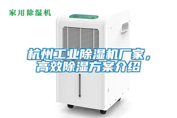 杭州工業(yè)除濕機(jī)廠家，高效除濕方案介紹