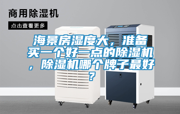 海景房濕度大，準(zhǔn)備買一個好一點的除濕機，除濕機哪個牌子最好？