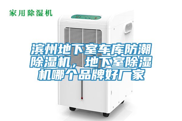 濱州地下室車庫(kù)防潮除濕機(jī)，地下室除濕機(jī)哪個(gè)品牌好廠家
