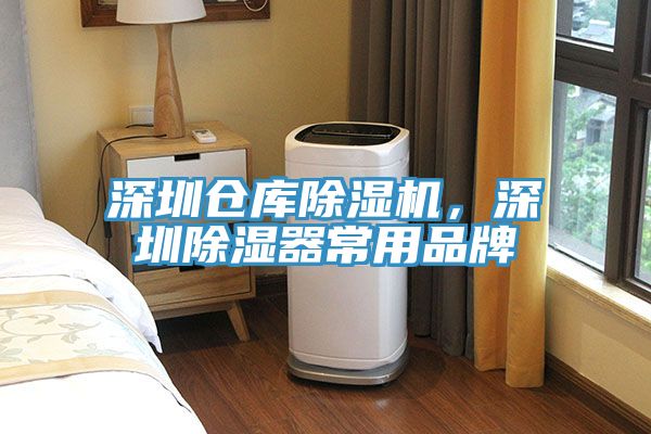 深圳倉(cāng)庫(kù)除濕機(jī)，深圳除濕器常用品牌