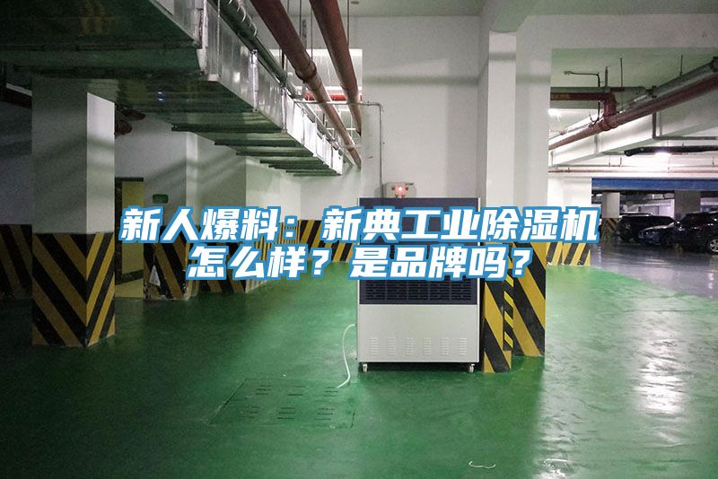 新人爆料：新典工業(yè)除濕機怎么樣？是品牌嗎？