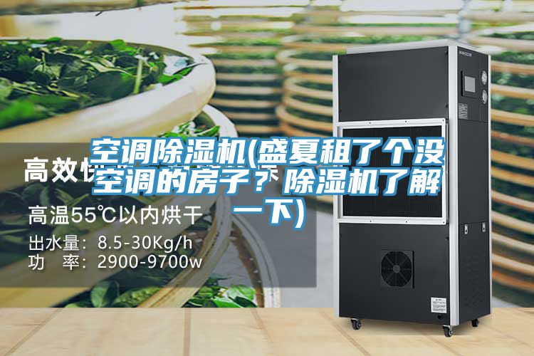 空調(diào)除濕機(盛夏租了個沒空調(diào)的房子？除濕機了解一下)