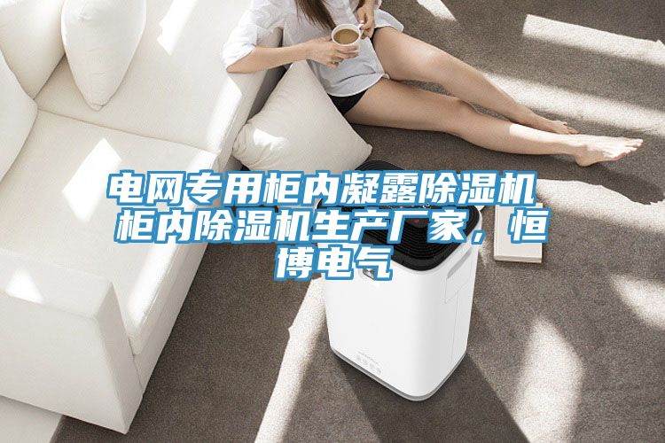 電網(wǎng)專用柜內(nèi)凝露除濕機(jī) 柜內(nèi)除濕機(jī)生產(chǎn)廠家，恒博電氣