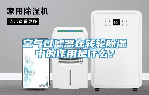 空氣過(guò)濾器在轉(zhuǎn)輪除濕中的作用是什么？