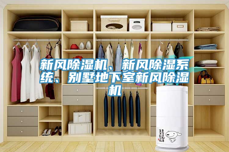 新風(fēng)除濕機(jī)、新風(fēng)除濕系統(tǒng)、別墅地下室新風(fēng)除濕機(jī)