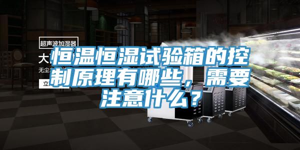 恒溫恒濕試驗箱的控制原理有哪些，需要注意什么？