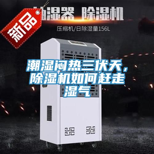 潮濕悶熱三伏天，除濕機(jī)如何趕走濕氣