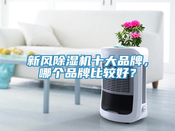新風(fēng)除濕機(jī)十大品牌，哪個(gè)品牌比較好？