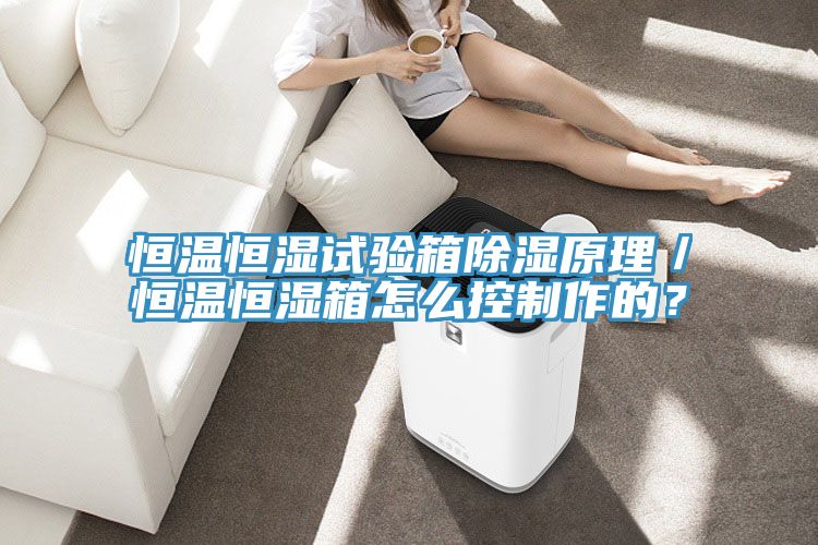 恒溫恒濕試驗(yàn)箱除濕原理／恒溫恒濕箱怎么控制作的？