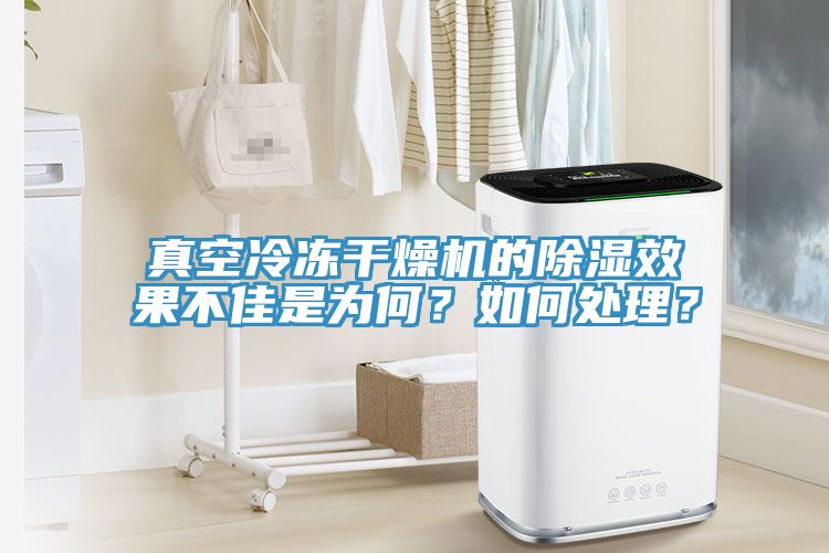 真空冷凍干燥機的除濕效果不佳是為何？如何處理？