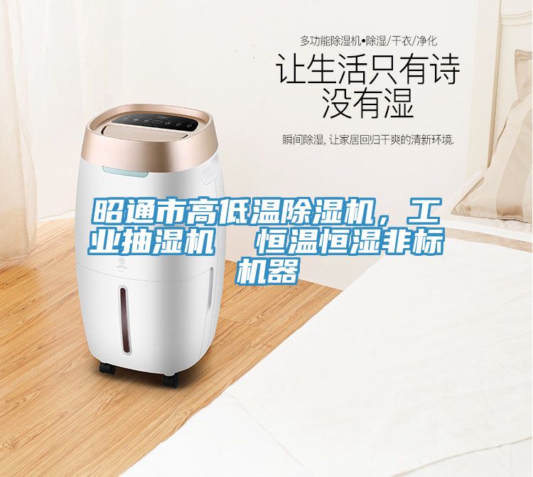 昭通市高低溫除濕機(jī)，工業(yè)抽濕機(jī)  恒溫恒濕非標(biāo)機(jī)器