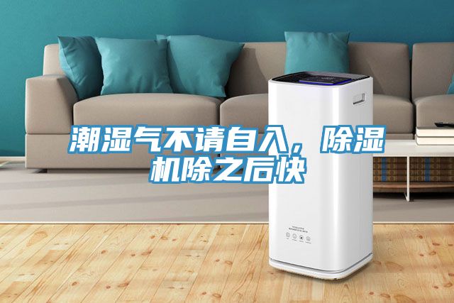 潮濕氣不請自入，除濕機(jī)除之后快