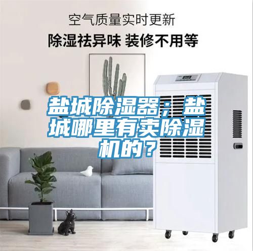 鹽城除濕器；鹽城哪里有賣除濕機(jī)的？
