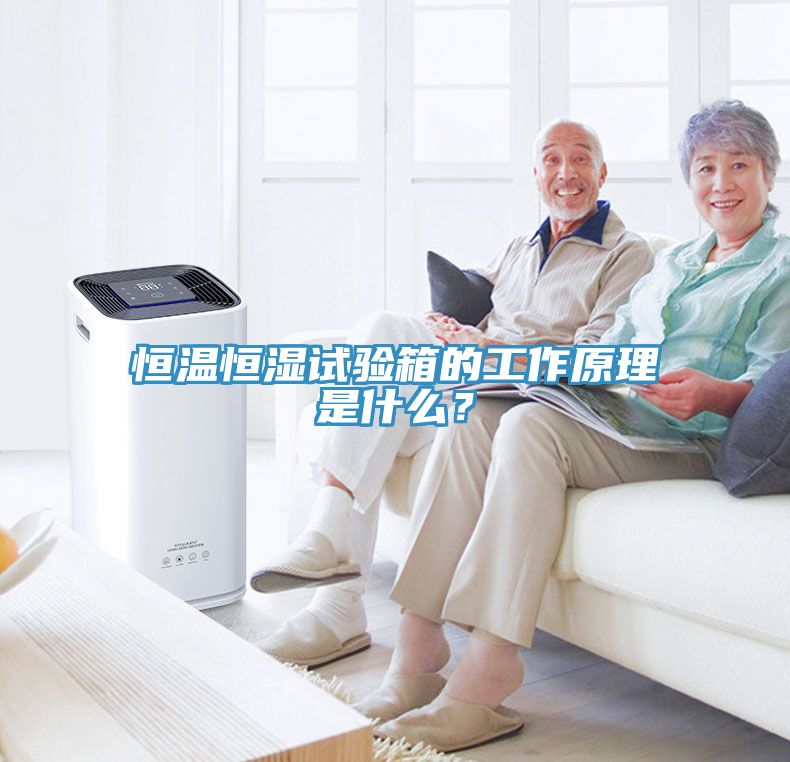 恒溫恒濕試驗(yàn)箱的工作原理是什么？