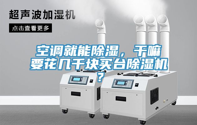 空調(diào)就能除濕，干嘛要花幾千塊買臺(tái)除濕機(jī)？
