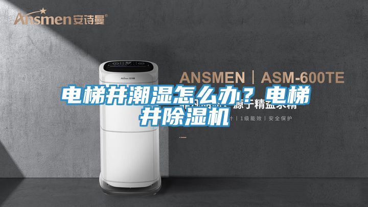 電梯井潮濕怎么辦？電梯井除濕機(jī)