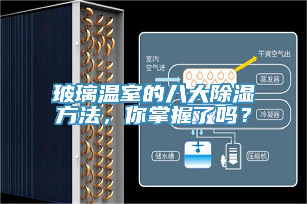 玻璃溫室的八大除濕方法，你掌握了嗎？