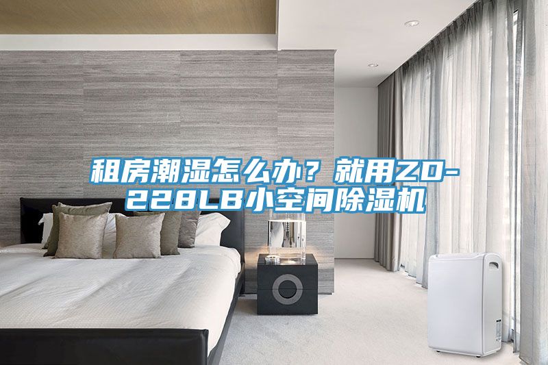 租房潮濕怎么辦？就用ZD-228LB小空間除濕機